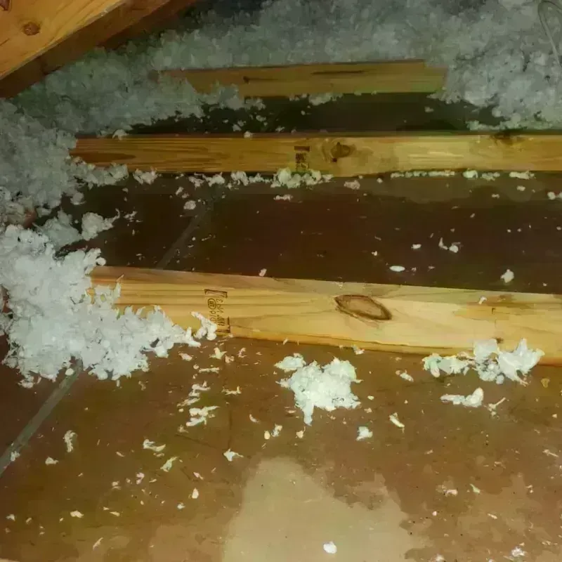 Attic Water Damage in Lenoir City, TN